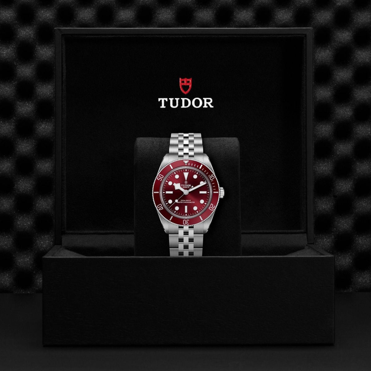 TUDOR Black Bay 58 M7939A1A0RU-0001