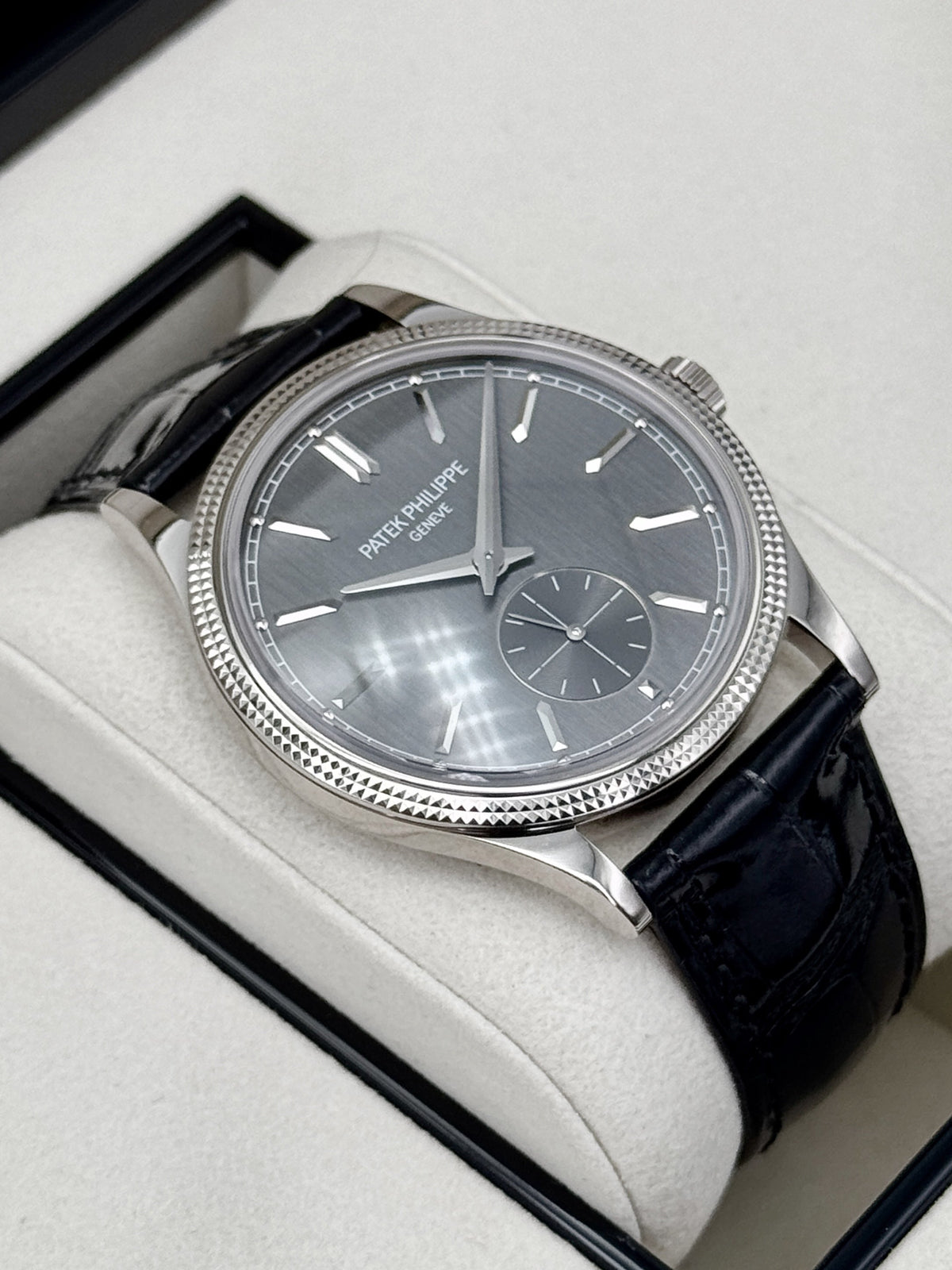 NEW 2026 Patek Philippe Calatrava 40mm 6119G  White Gold Gray Dial